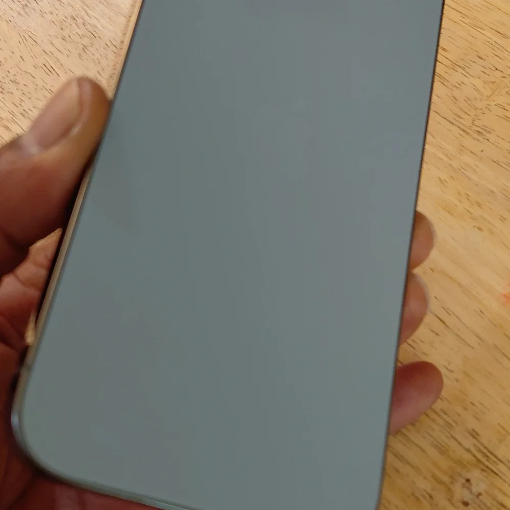 Iphone 13 Pro Max Unlocked